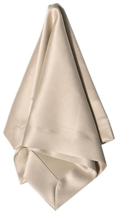 NEW! ACCORD beige napkin