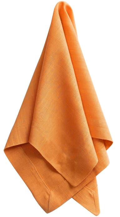 HEYS pumpkin napkin