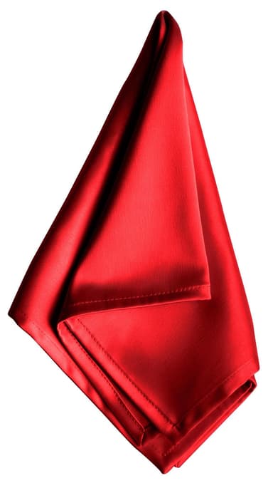 ACCORD red napkin