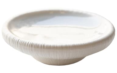 NEW! MOFFO frosted white appetizer bowl plate