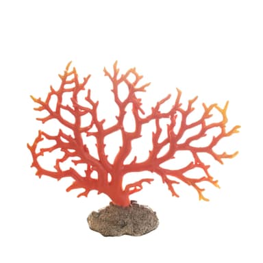 GRIF сoral centrepiece