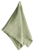 TIRSO lady fern napkin #731