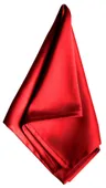 ACCORD red napkin #210