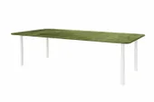 MOTIF KIDS rectangular table with BGRASS GREEN VELVET top #115