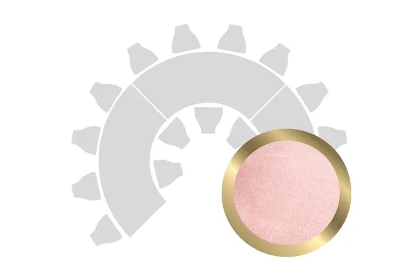 HORSESHOE-SHAPED table set in GOLD with PINK VELVET top #110