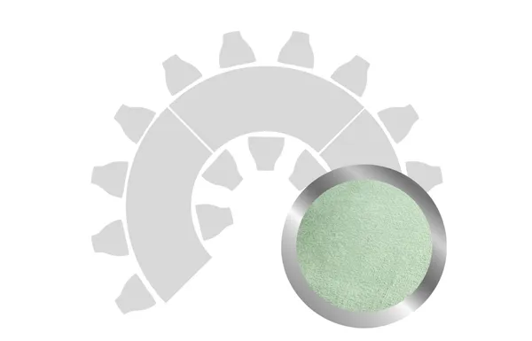 HORSESHOE-SHAPED table set in SILVER with FERN VELVET top #108