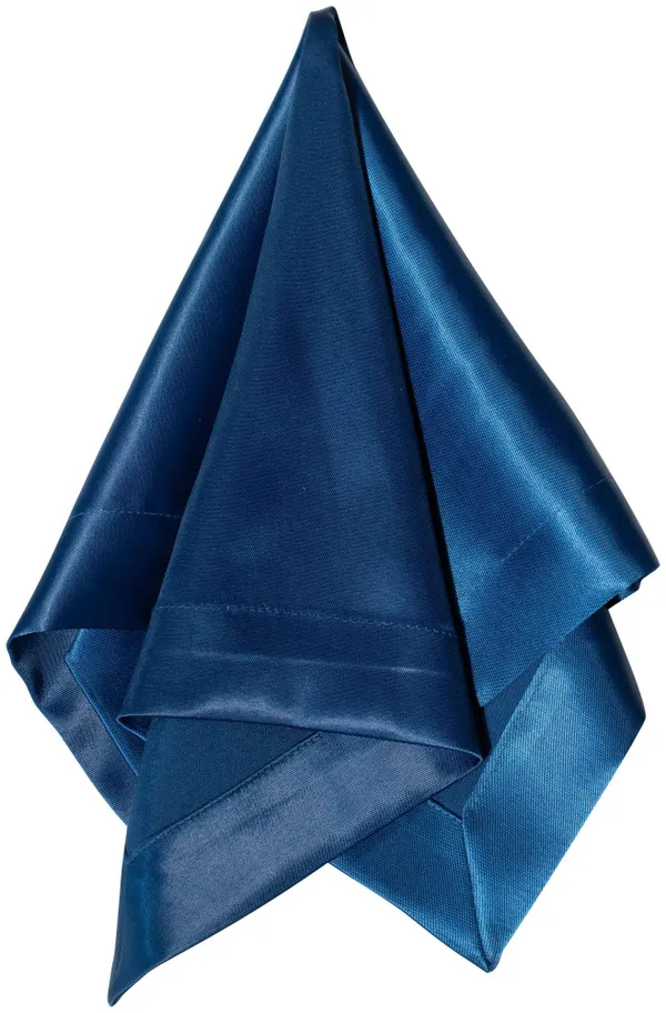 ACCORD navy napkin #212