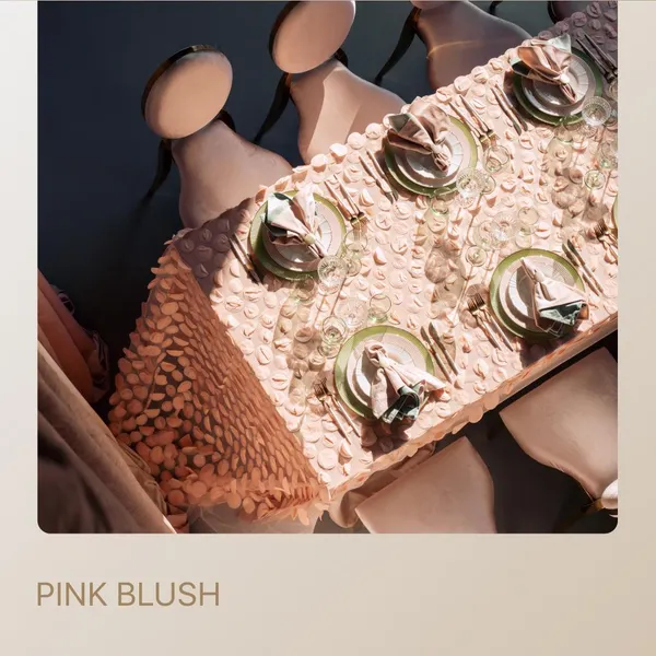 PINK BLUSH package — for 8 guests